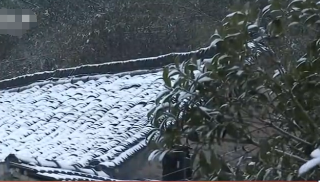 未安装蘑菇APP禁用网站入口下载的屋顶上的积雪
